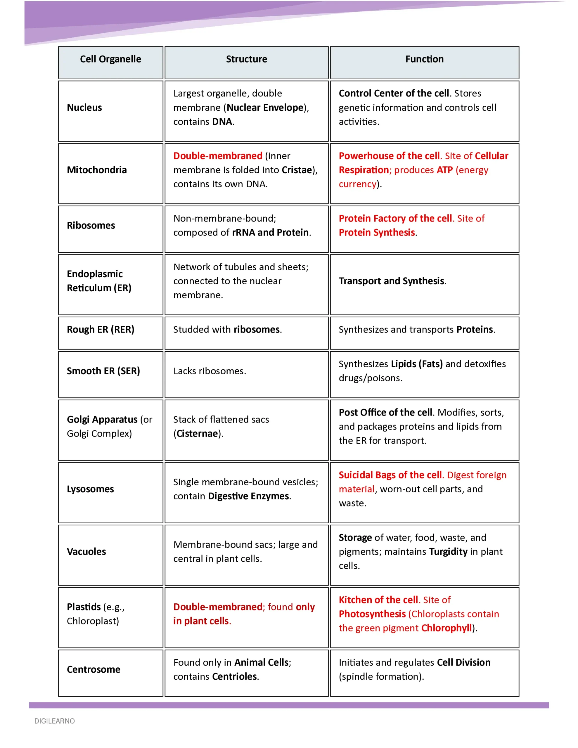 Beginner’s Capsule – General Studies | 10 E-Books | Foundation Edition - Image 18