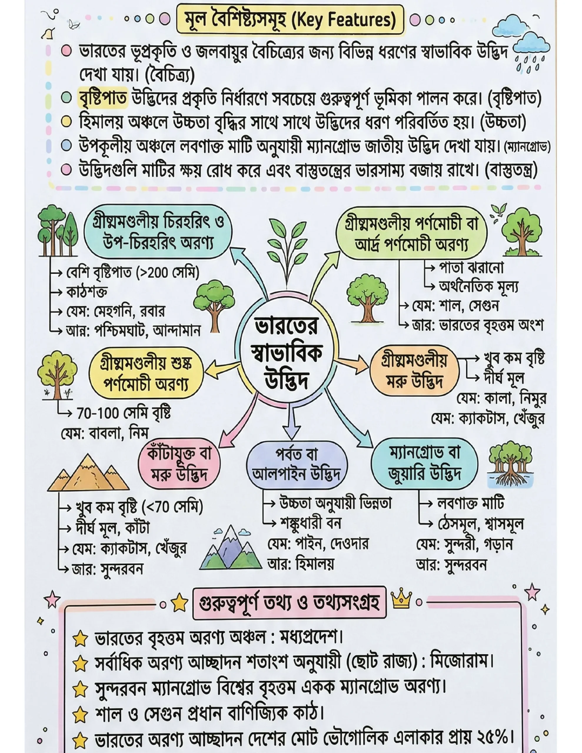 72x Capsule | Handwritten Style Infographic | GA Revision (বাংলা) - Image 9