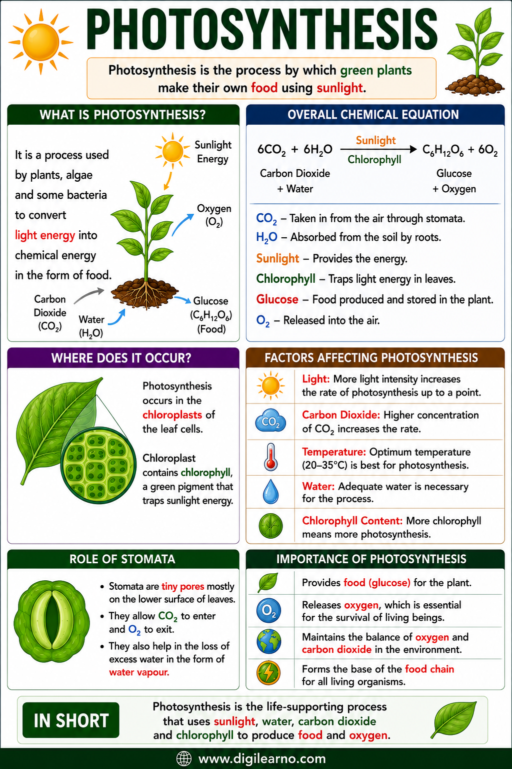 10x GA Capsule | Colored-Coded Infographic Revision Notes (English) - Image 9