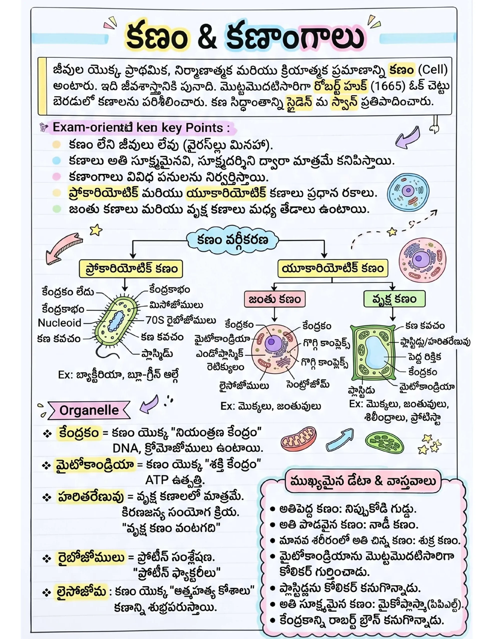 72x Capsule | Handwritten Style Infographic | GA Revision (తెలుగు) 72x Capsule | Handwritten Style Infographic | GA Revision (తెలుగు) - Image 9