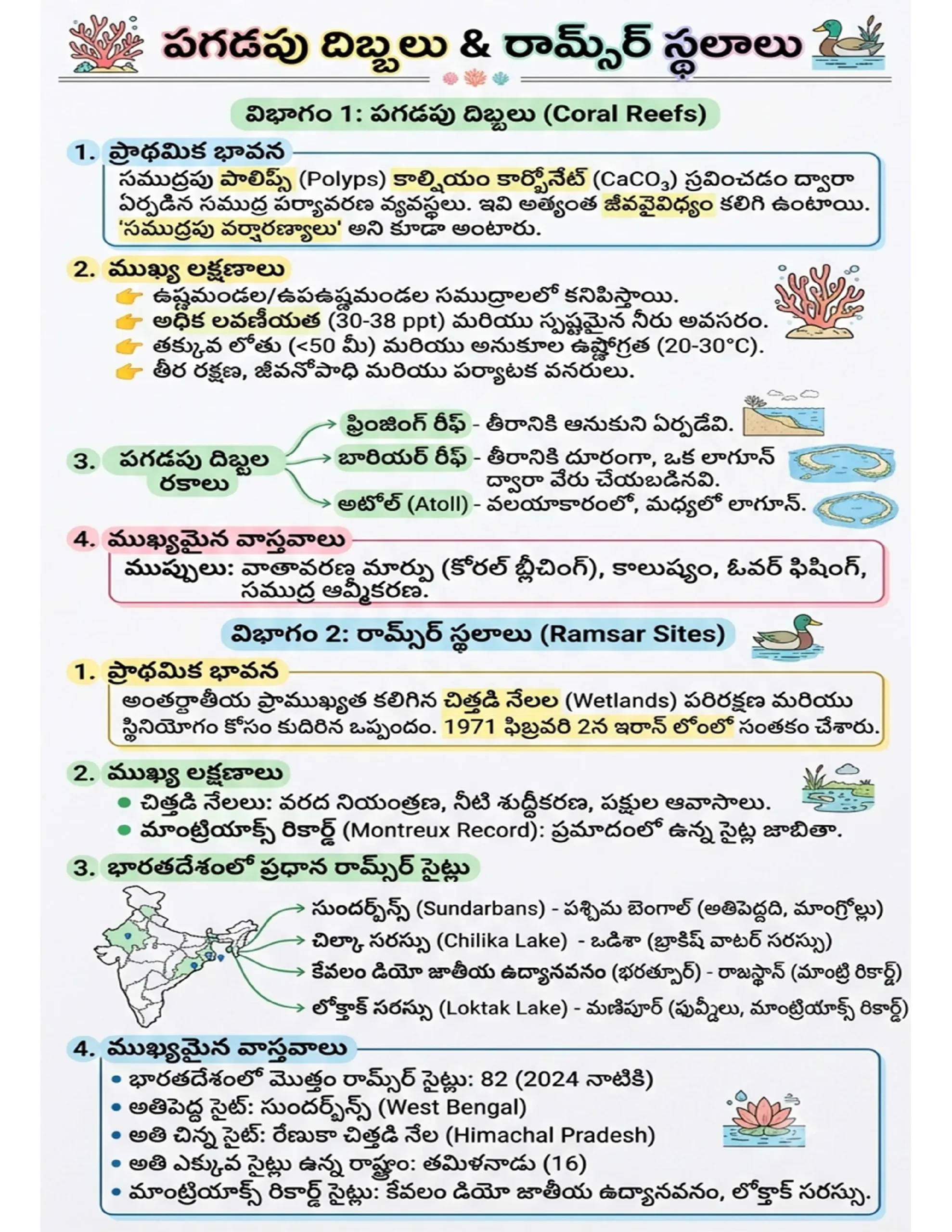 72x Capsule | Handwritten Style Infographic | GA Revision (తెలుగు) 72x Capsule | Handwritten Style Infographic | GA Revision (తెలుగు) - Image 5